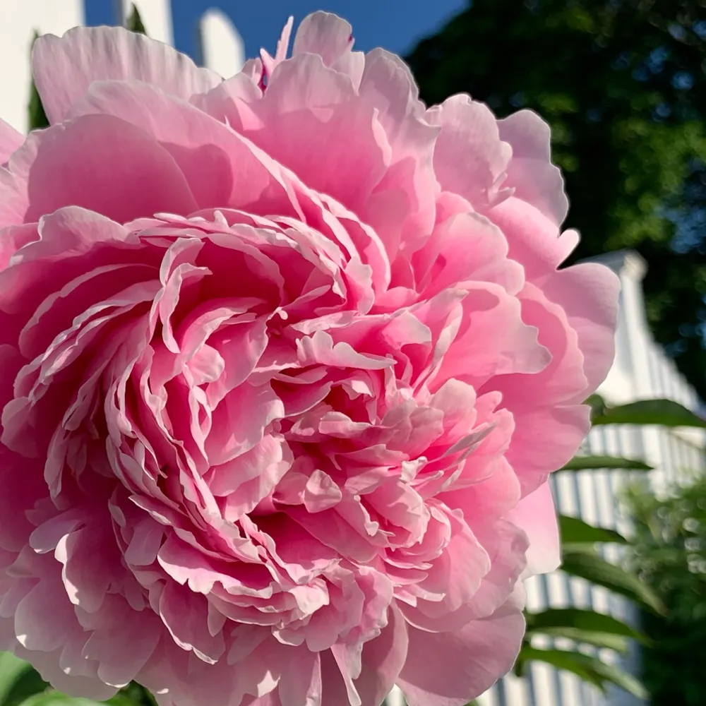 herewegorocknroll.bsky.social's profile picture