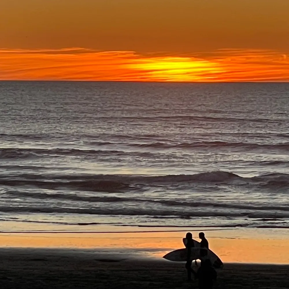 1treehill.bsky.social's profile picture