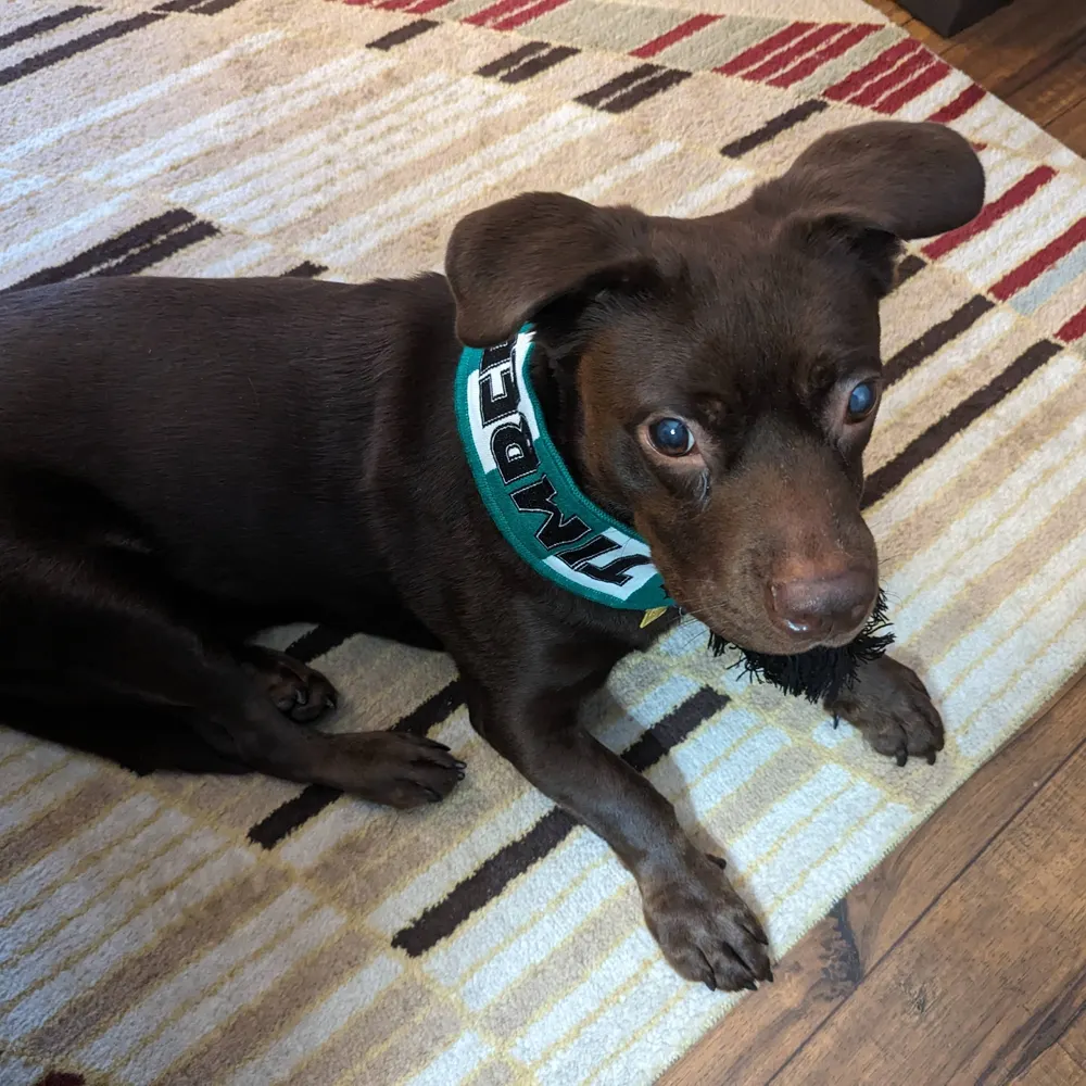 visadiva.bsky.social's profile picture