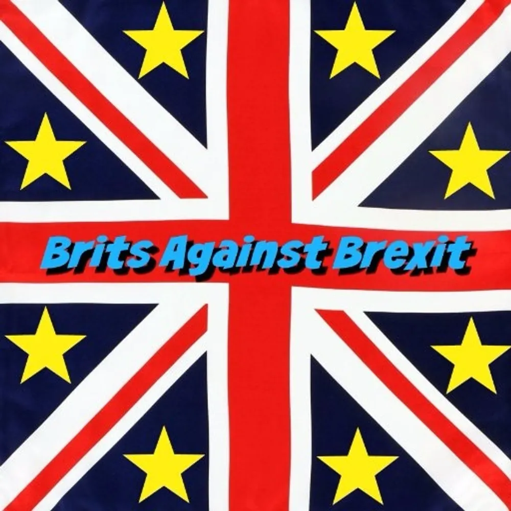 britsagainstbrexit.bsky.social's profile picture