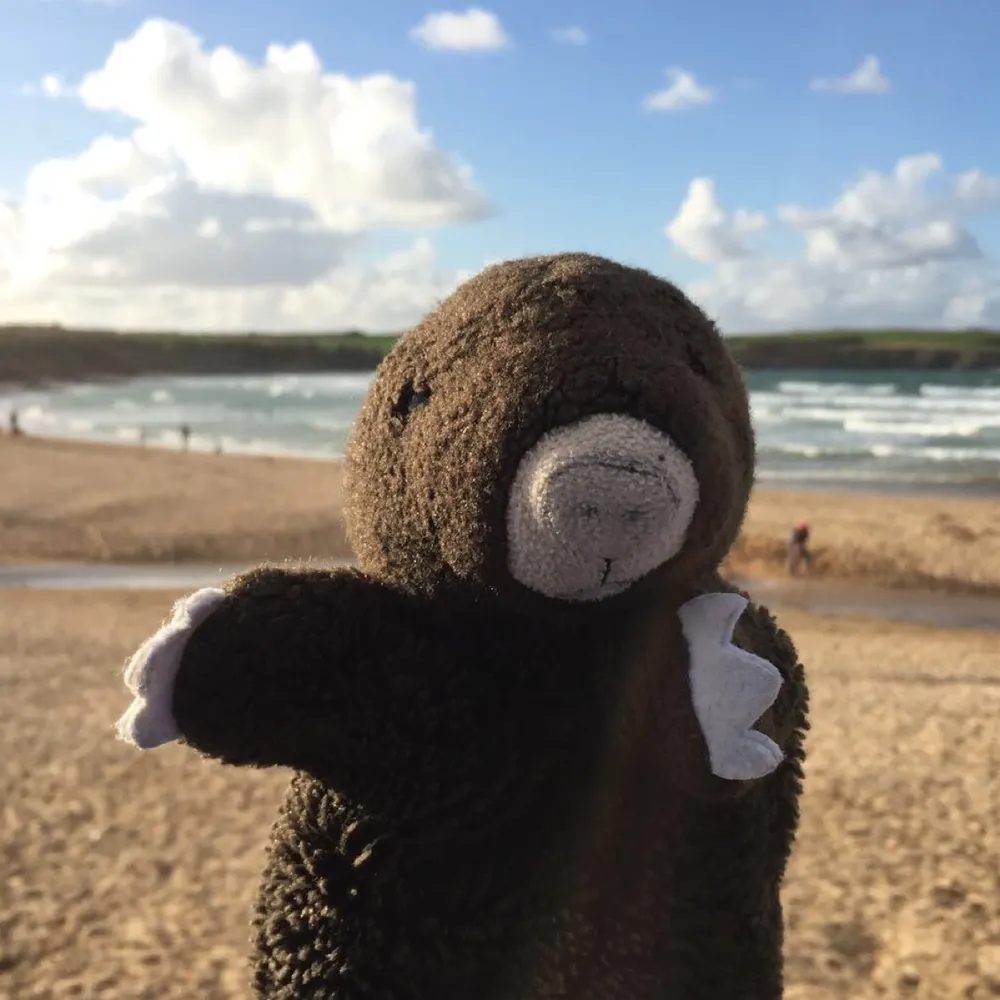 moleymole.bsky.social's profile picture