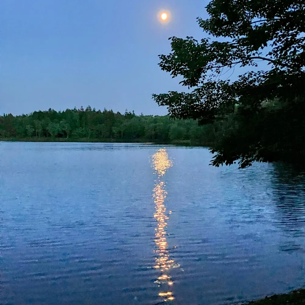 unclewally3.bsky.social's profile picture