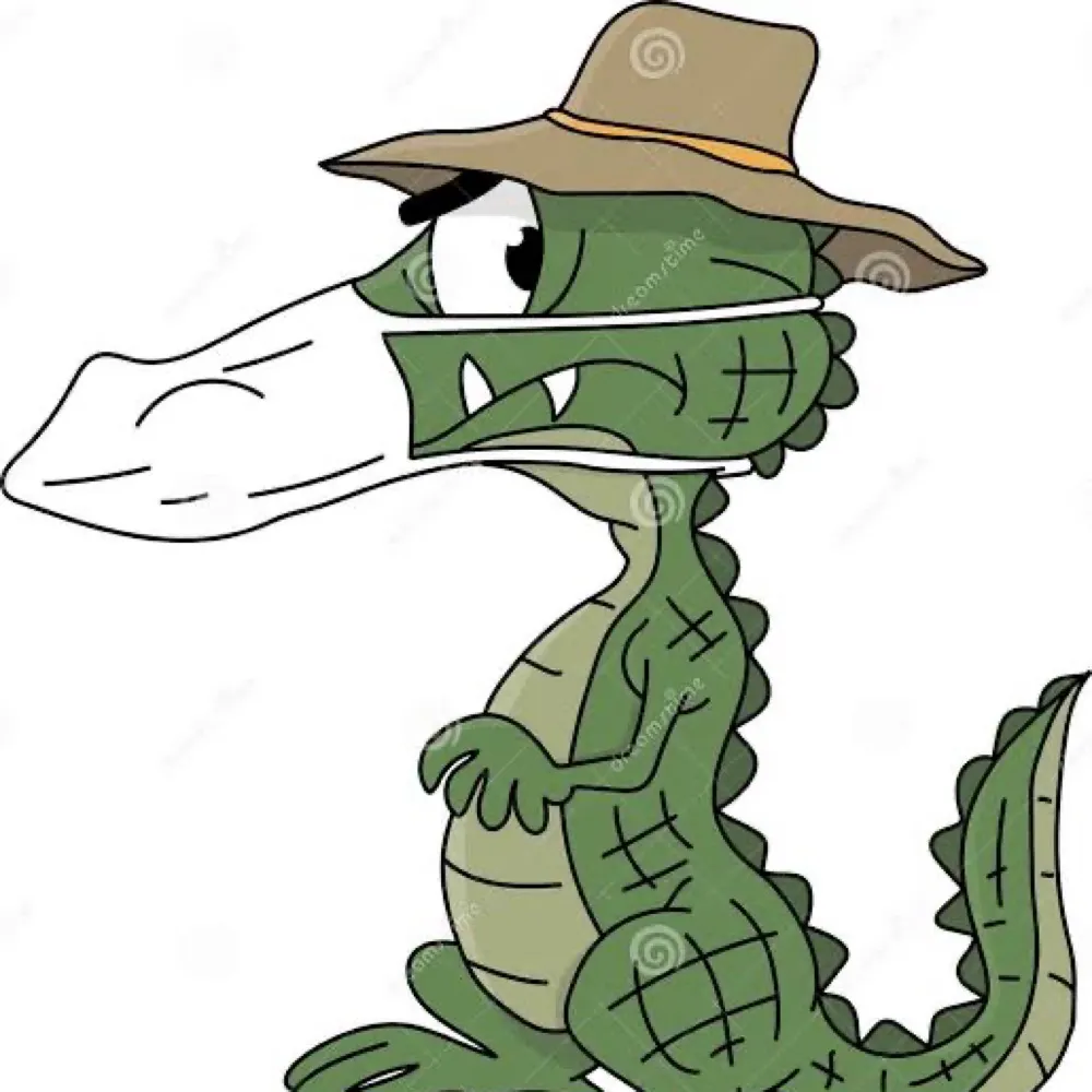 jacarevac.bsky.social's profile picture