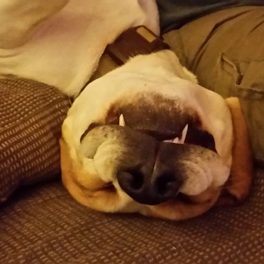 martymcd.bsky.social's profile picture