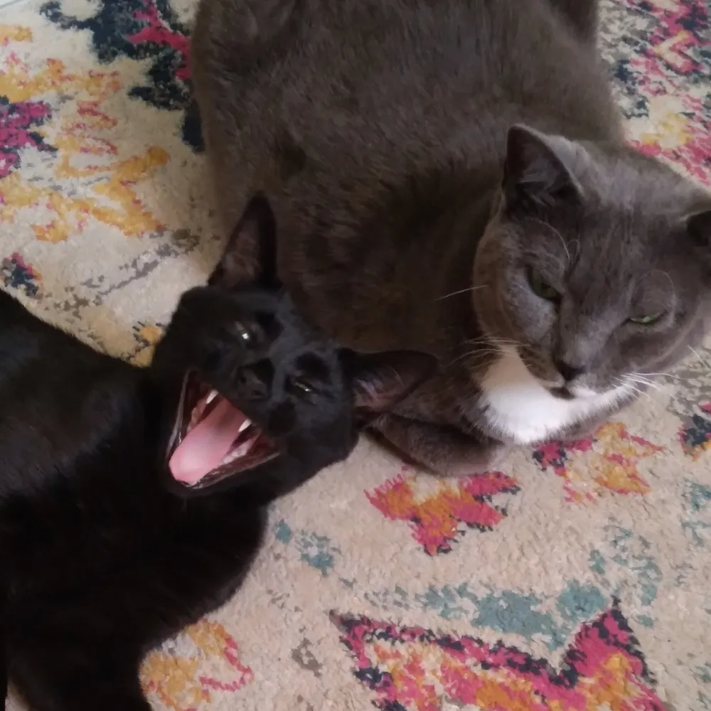 carlboyce10.bsky.social's profile picture