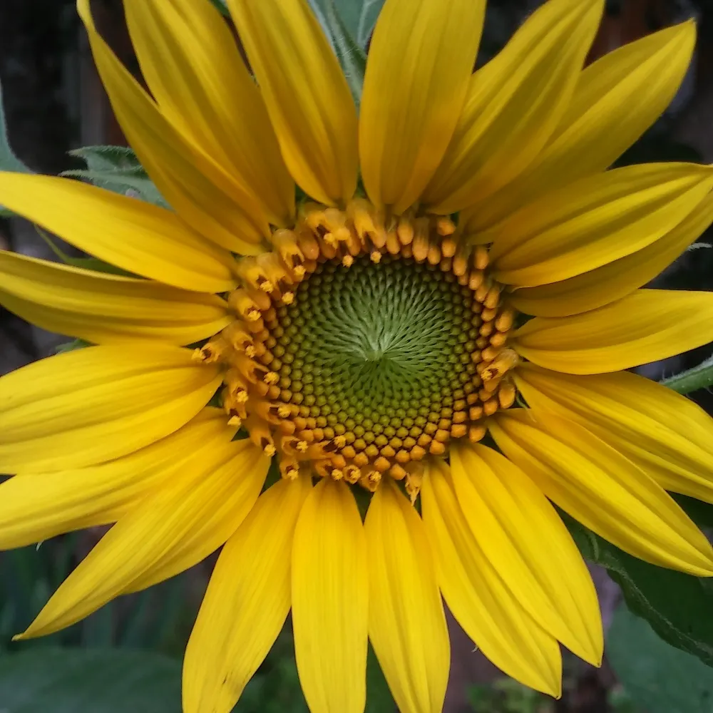 naturallywild.bsky.social's profile picture