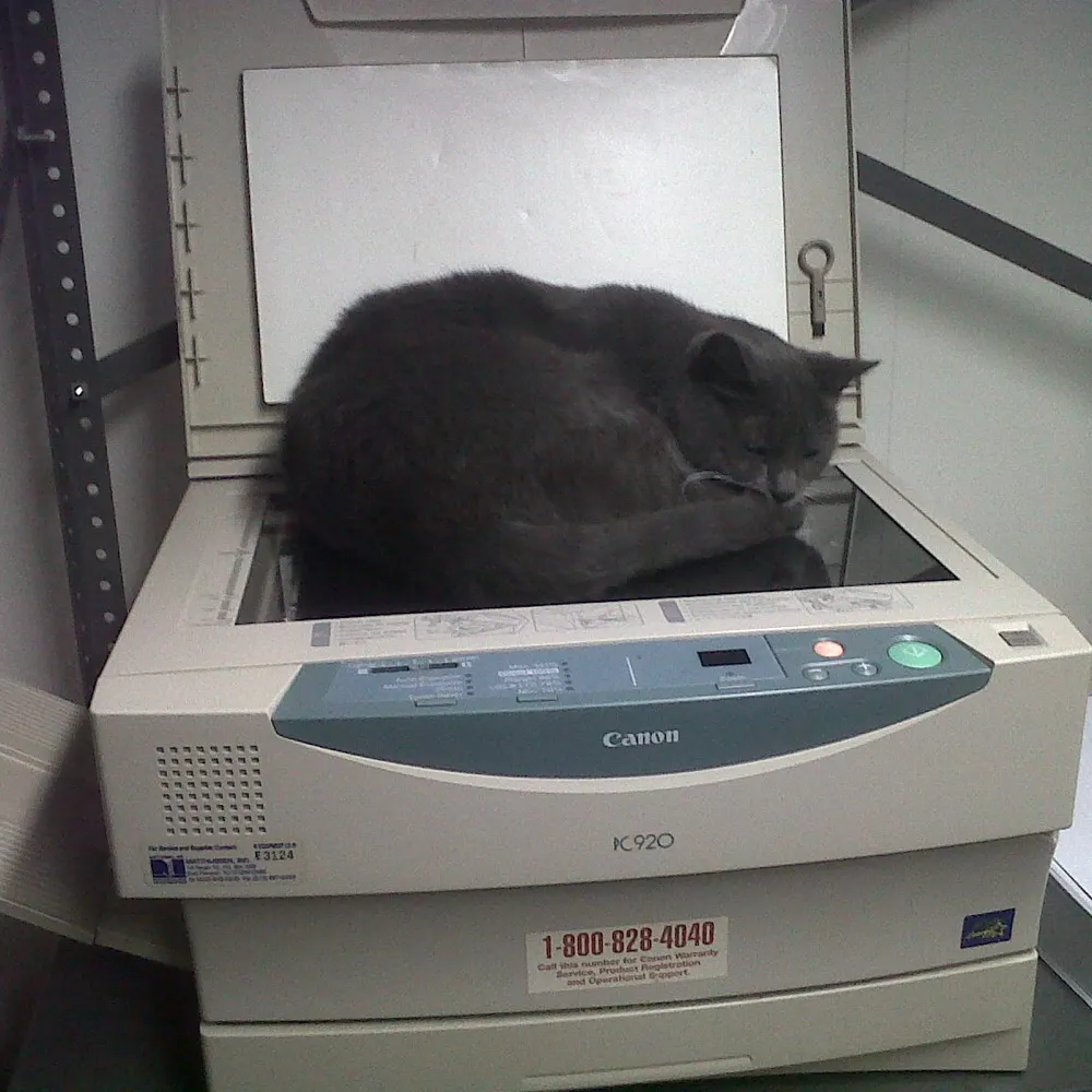 elborscht.bsky.social's profile picture