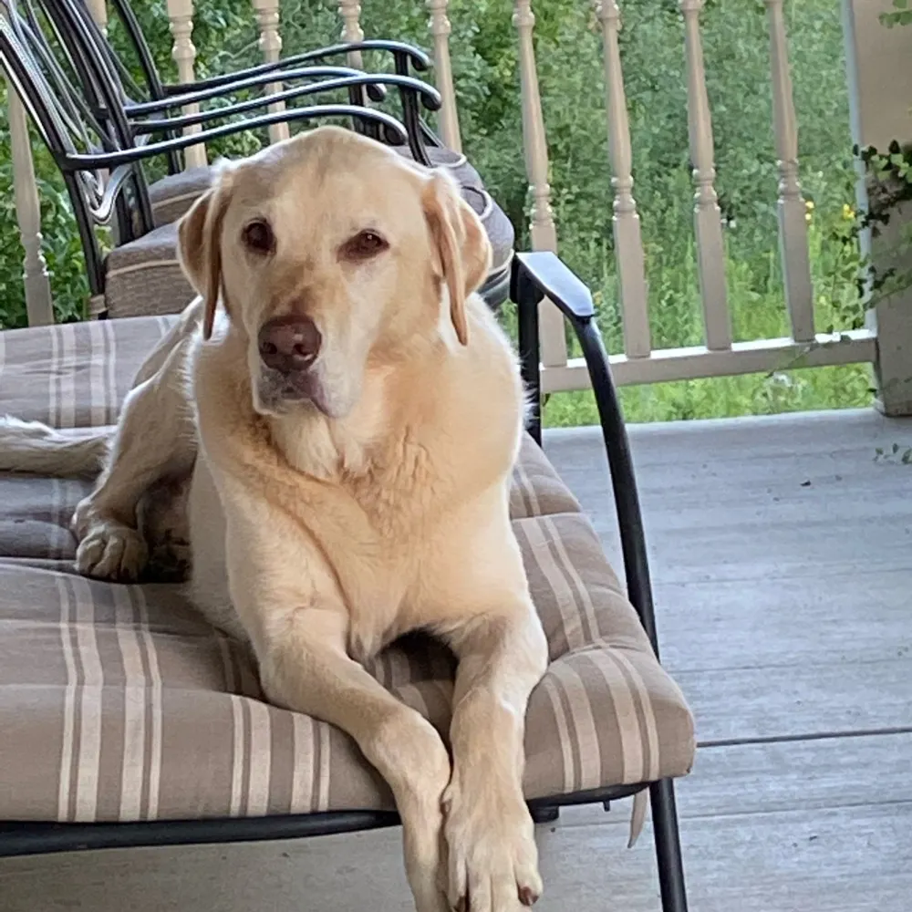 wblgkj.bsky.social's profile picture