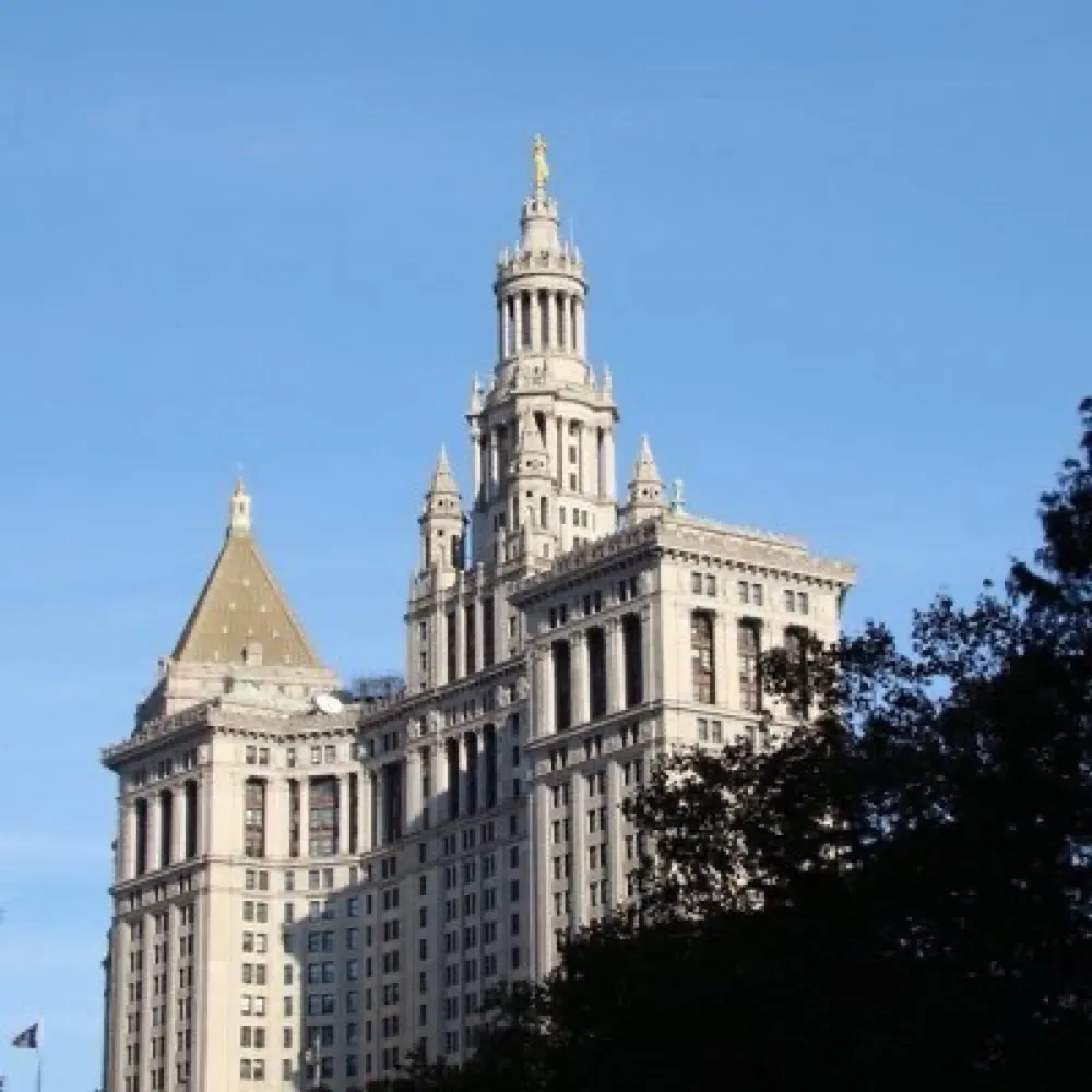 camconut-tree.bsky.social's profile picture