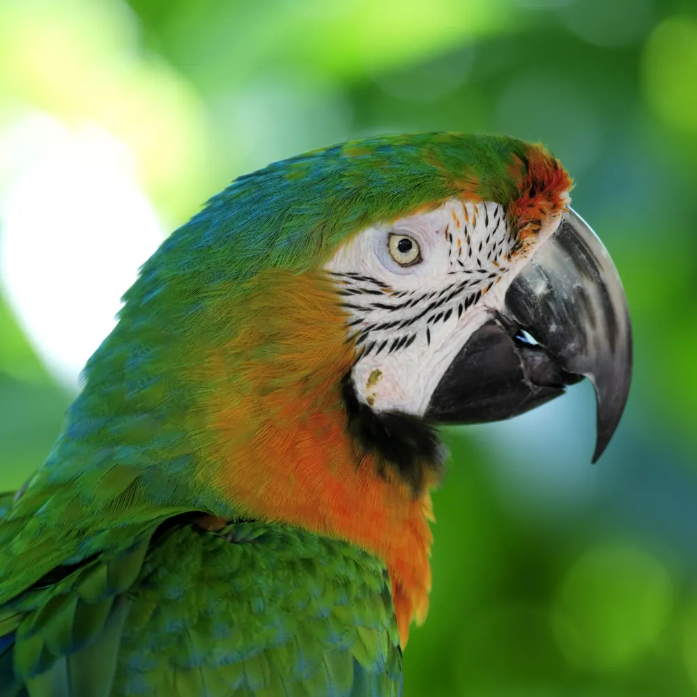 snarkman.bsky.social's profile picture