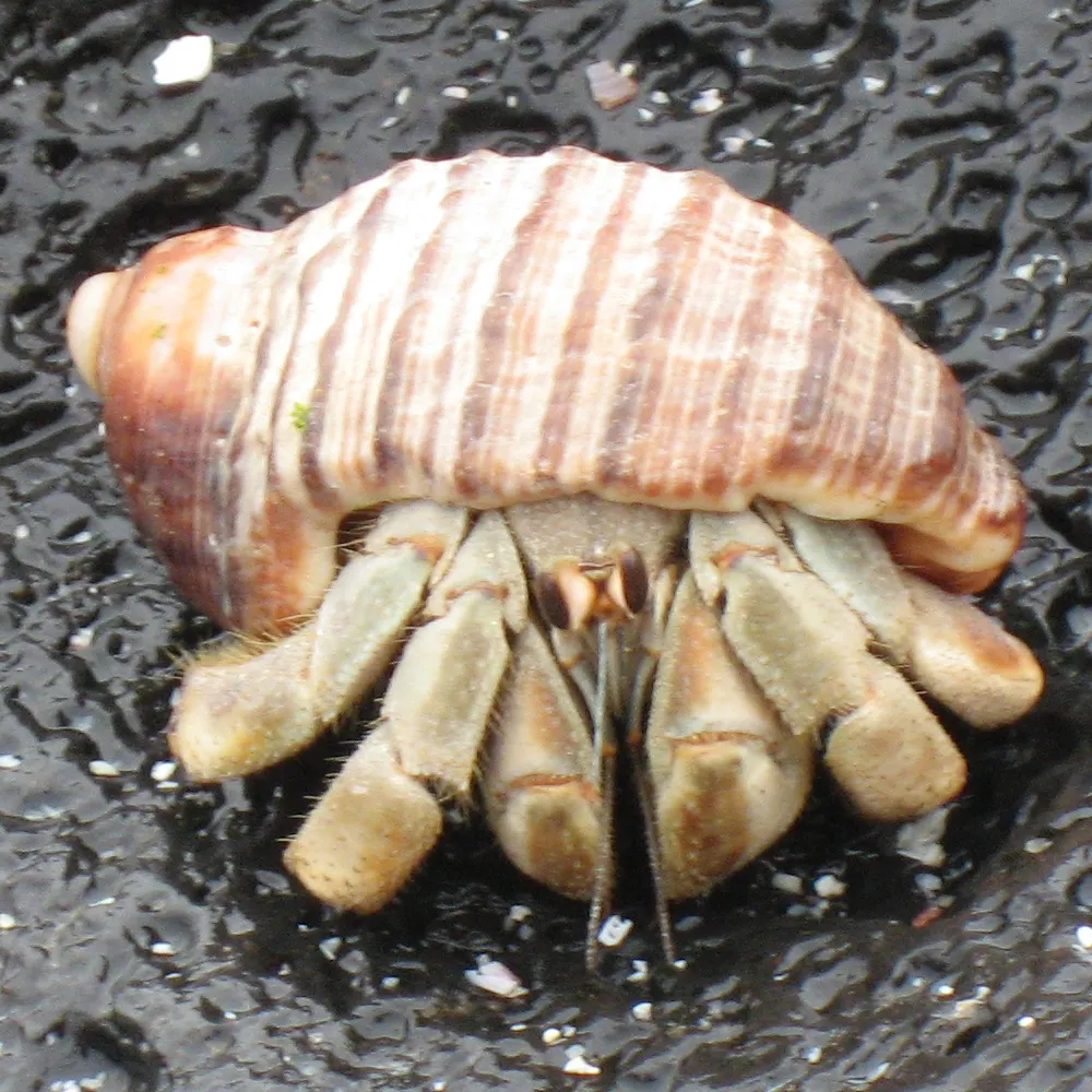 akadap.bsky.social's profile picture