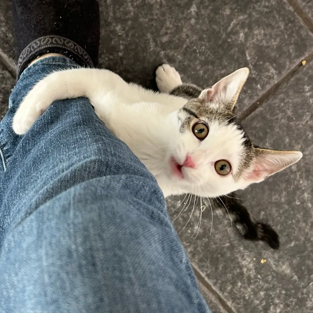 doubtful-guest.bsky.social's profile picture