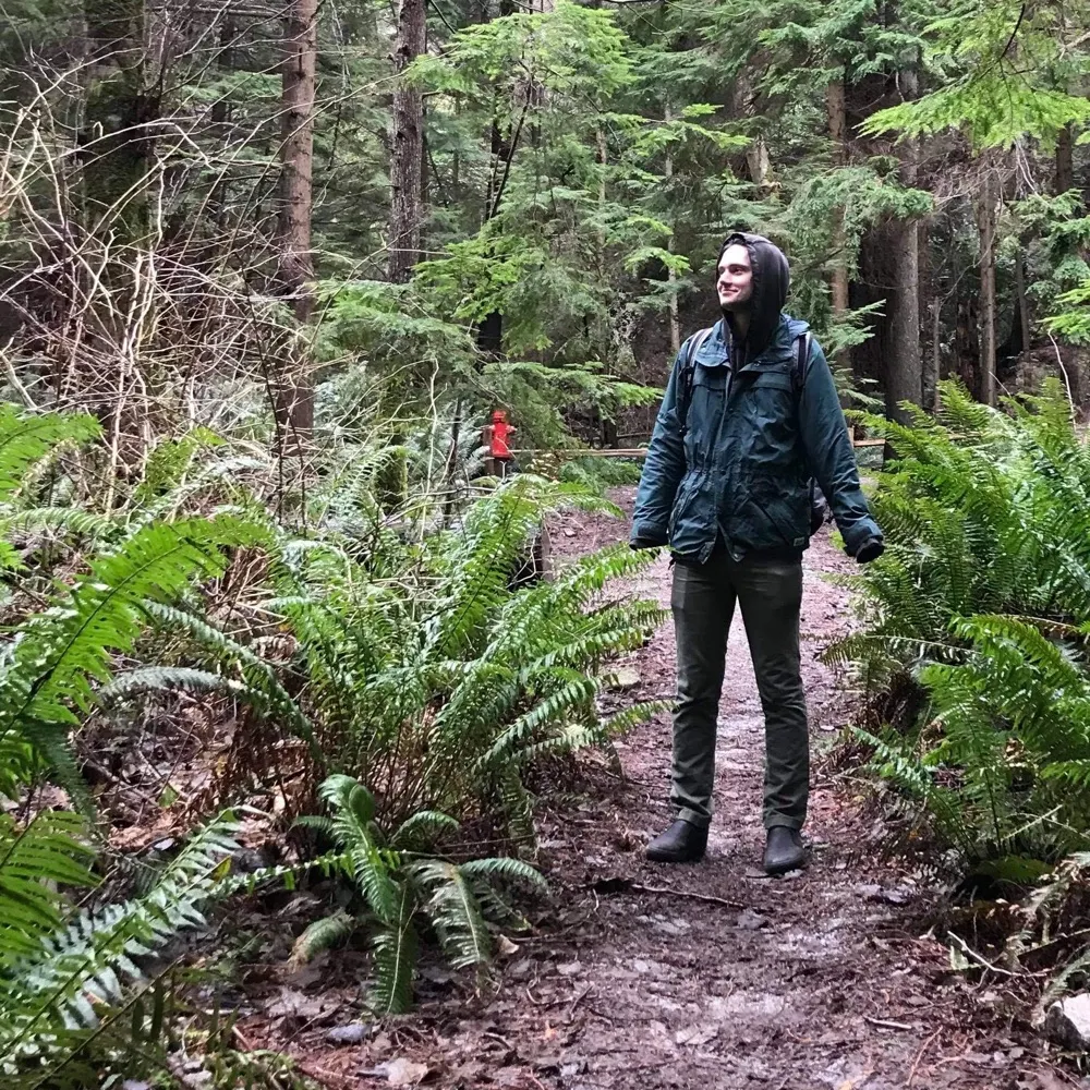 gfxnico.bsky.social's profile picture