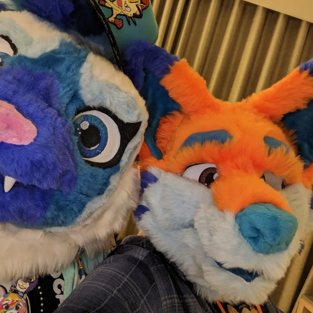 foxizac64.bsky.social's profile picture