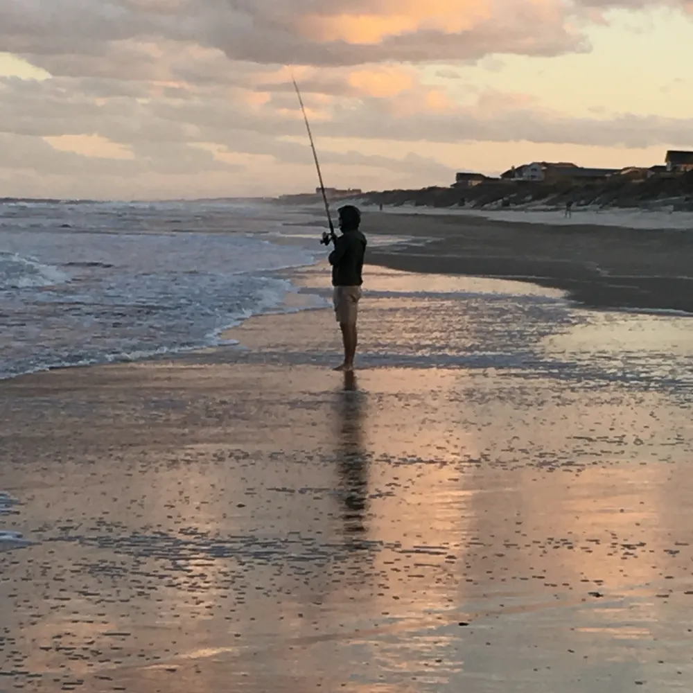 mcb614.bsky.social's profile picture