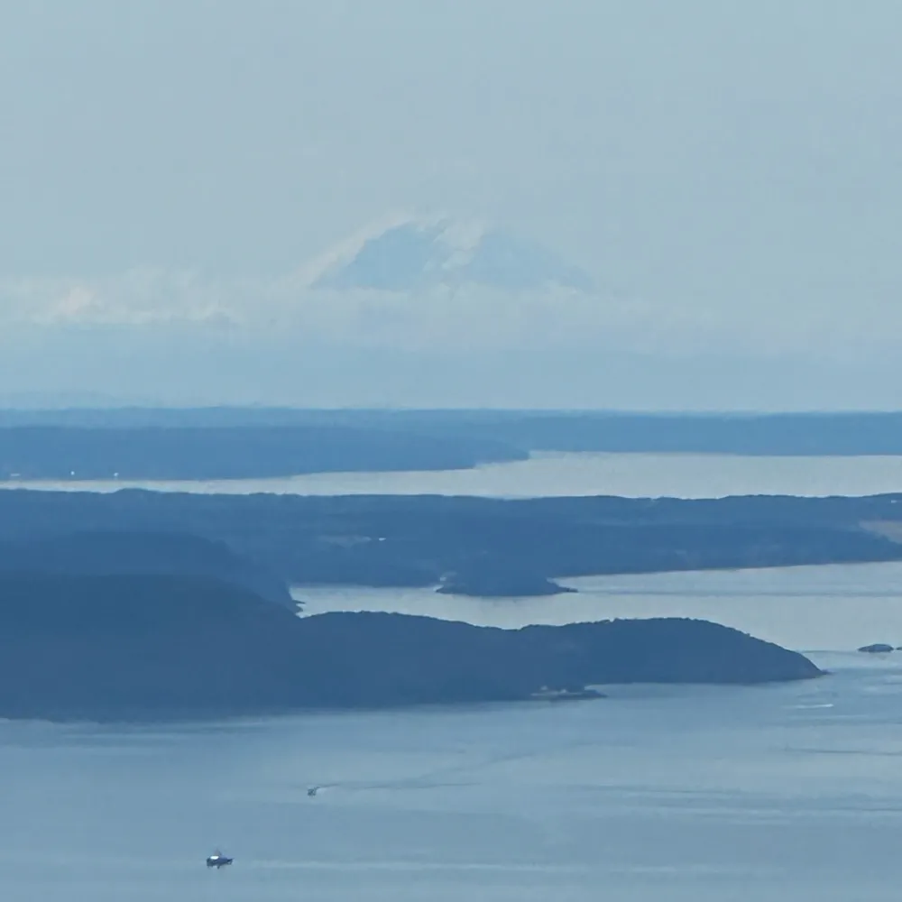 robinseattle.bsky.social's profile picture