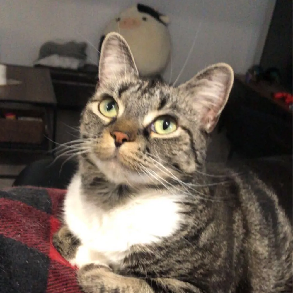 jecce.bsky.social's profile picture