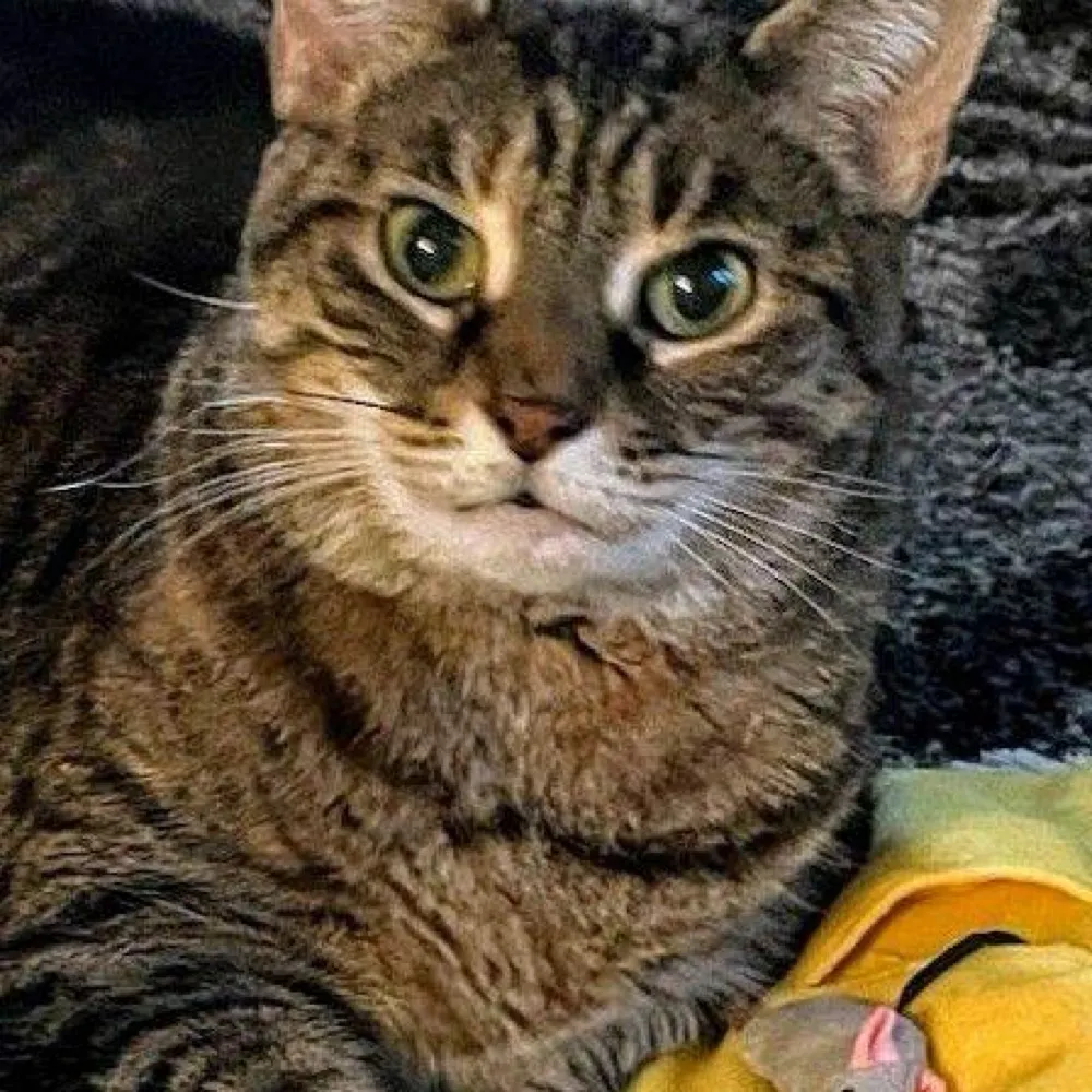 eric195.bsky.social's profile picture