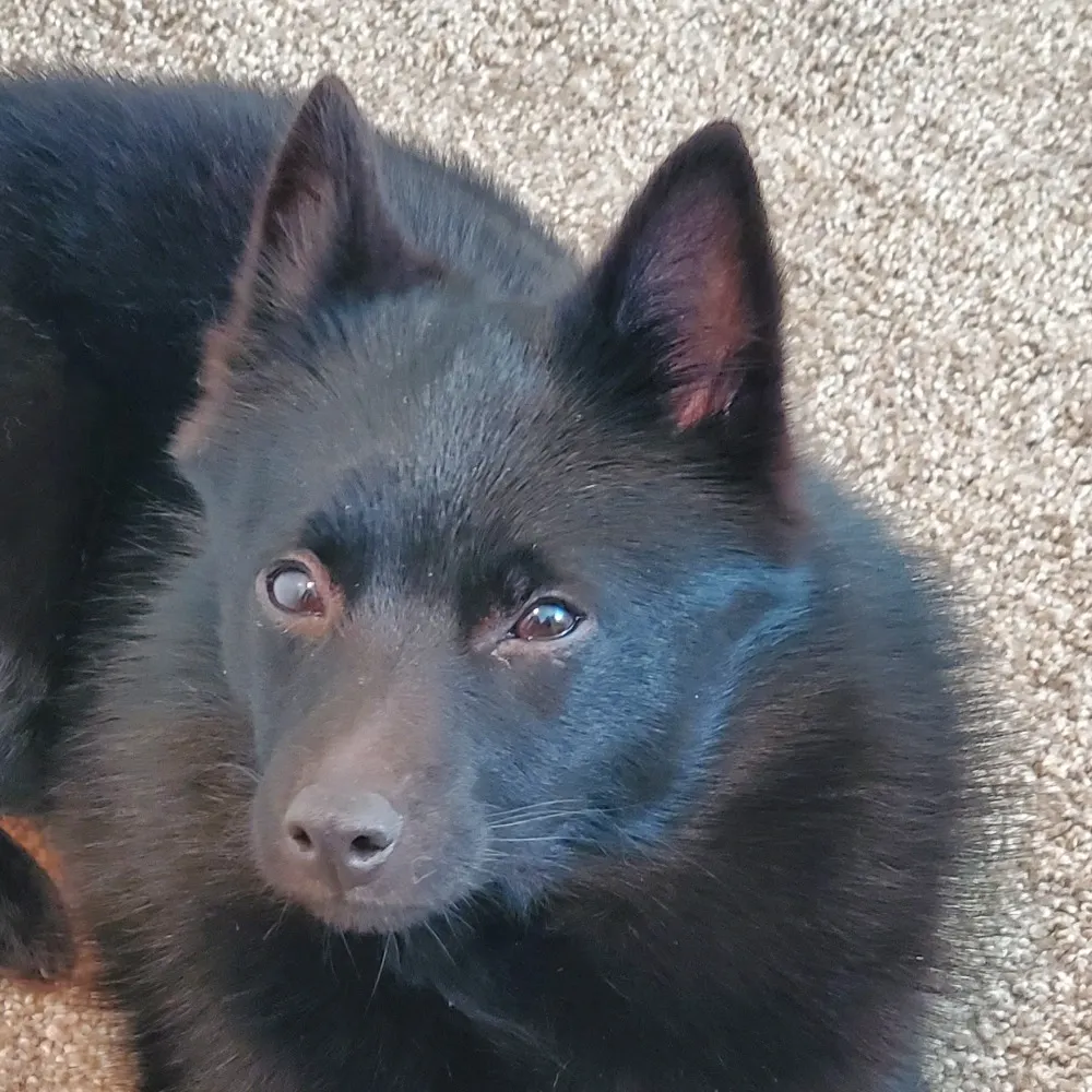 coil.bsky.social's profile picture