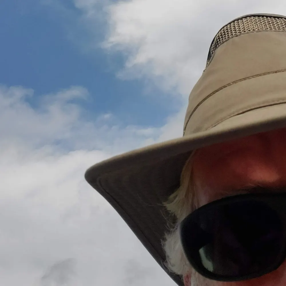 phlegmbot.bsky.social's profile picture