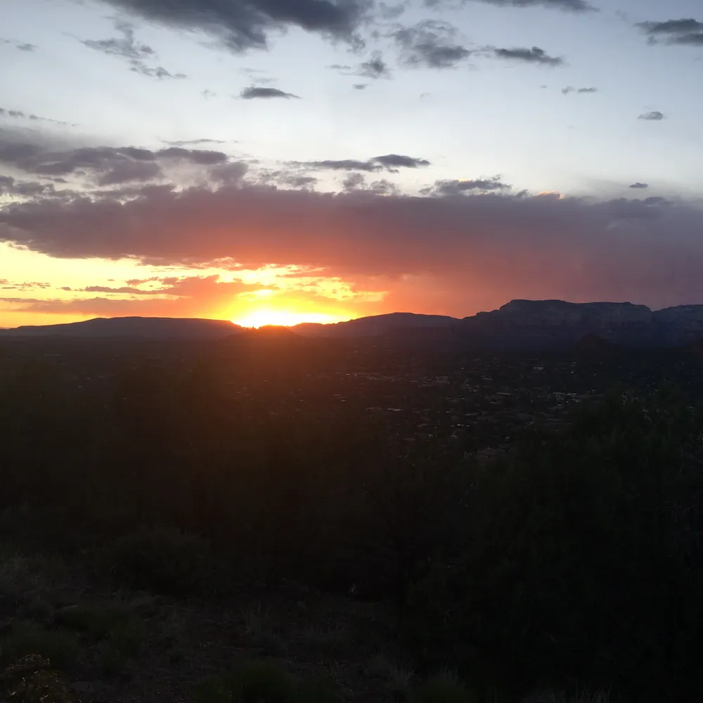 ckuza.bsky.social's profile picture