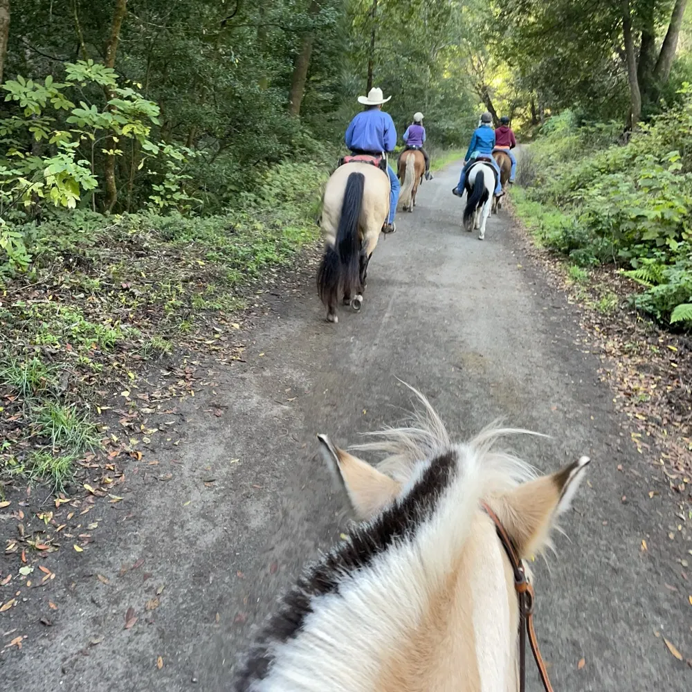 wethepeople24.bsky.social's profile picture