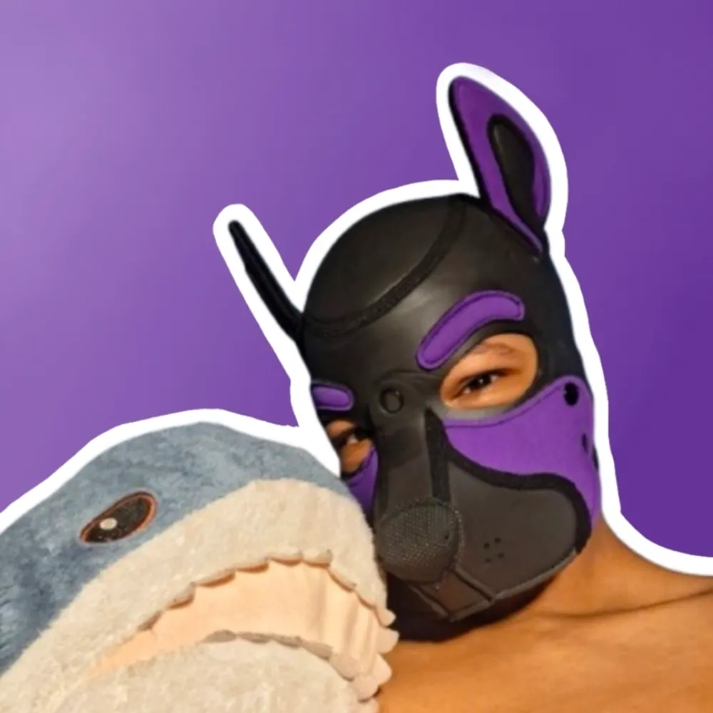 donutpup.bsky.social's profile picture