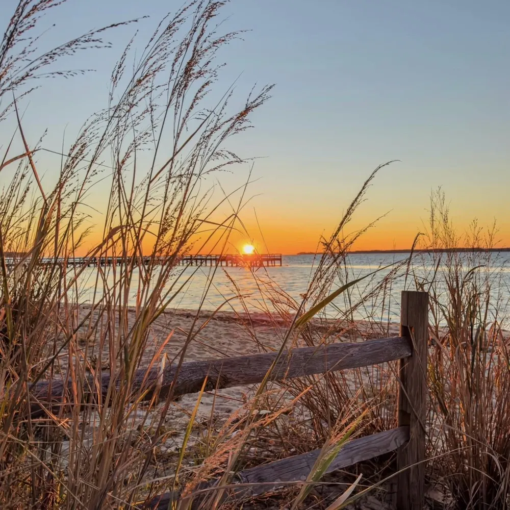 mom6.bsky.social's profile picture