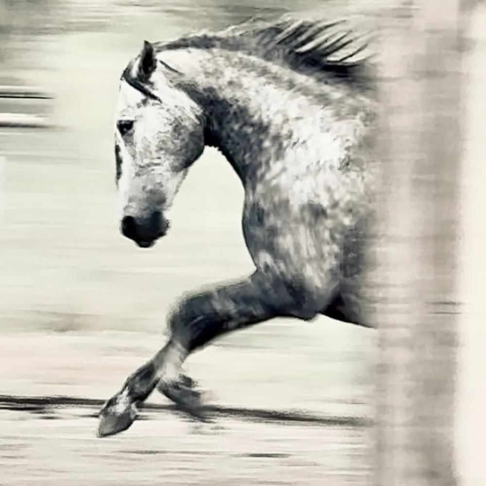 erynwyld.bsky.social's profile picture