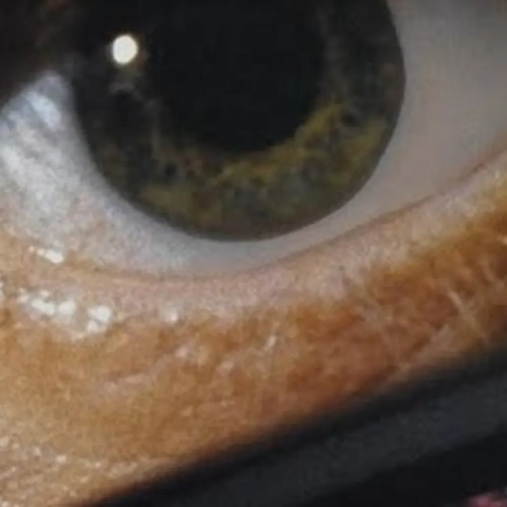 evilrobotme.bsky.social's profile picture