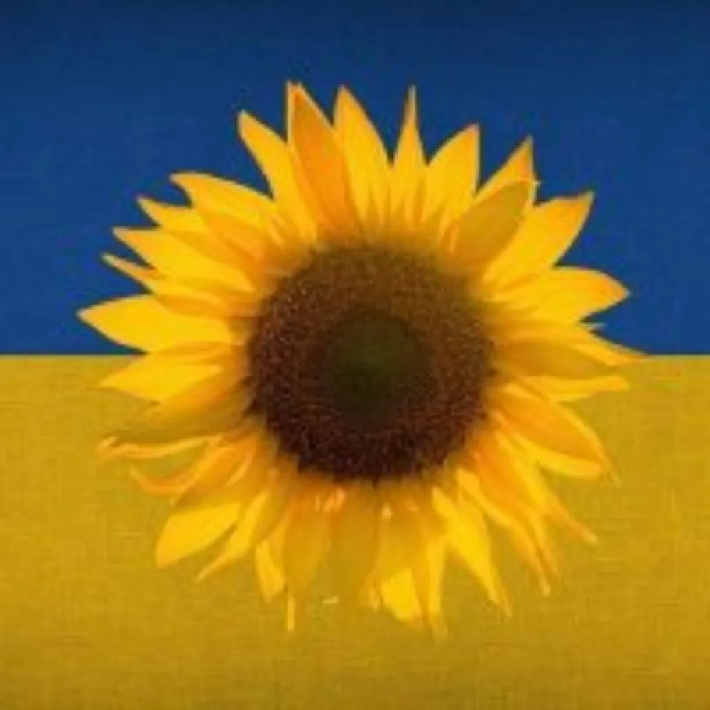 lynnf.bsky.social's profile picture