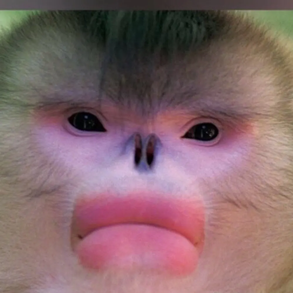 majortom70.bsky.social's profile picture