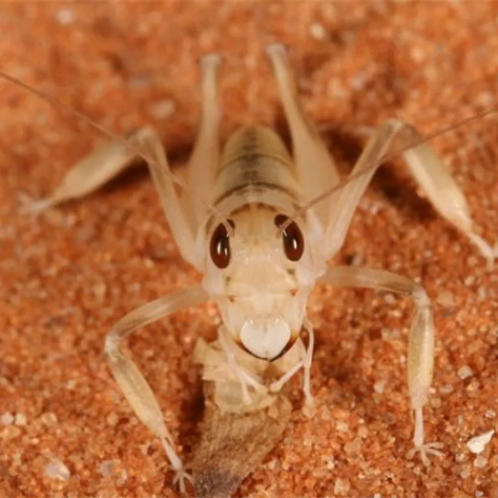 hfleming.bsky.social's profile picture