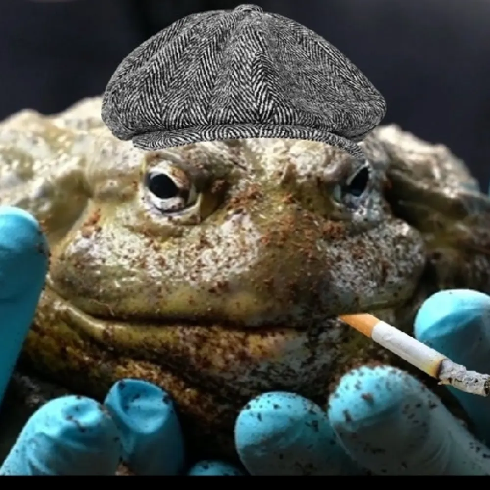 toadletarian.bsky.social's profile picture