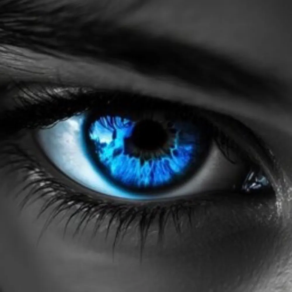 libtilend.bsky.social's profile picture