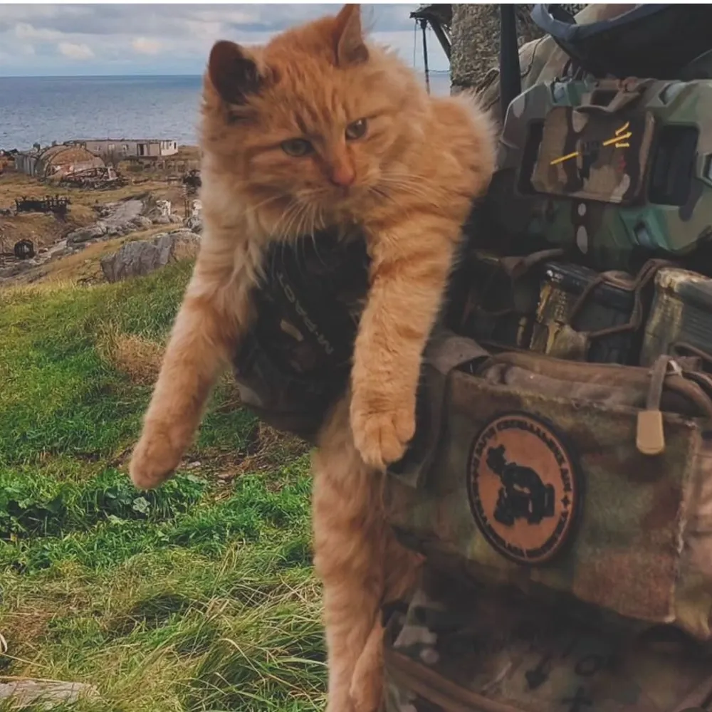 yanadear.bsky.social's profile picture