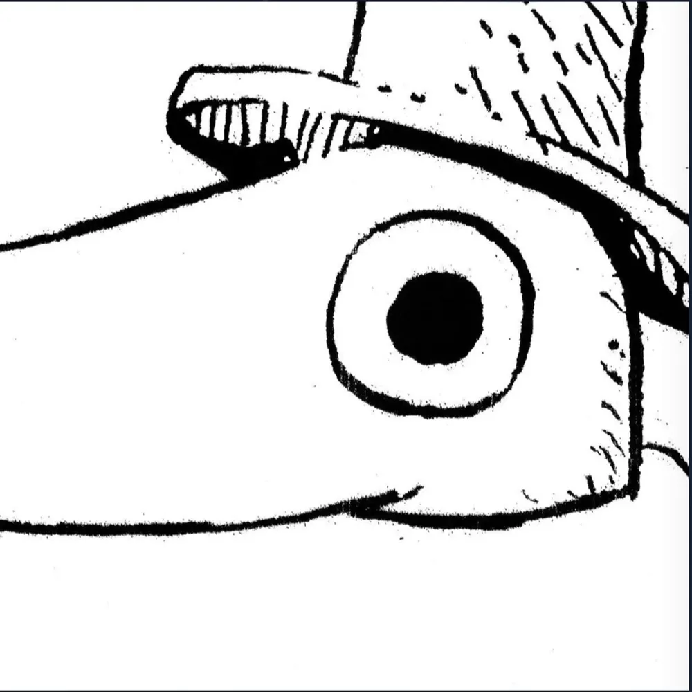 sompra.bsky.social's profile picture