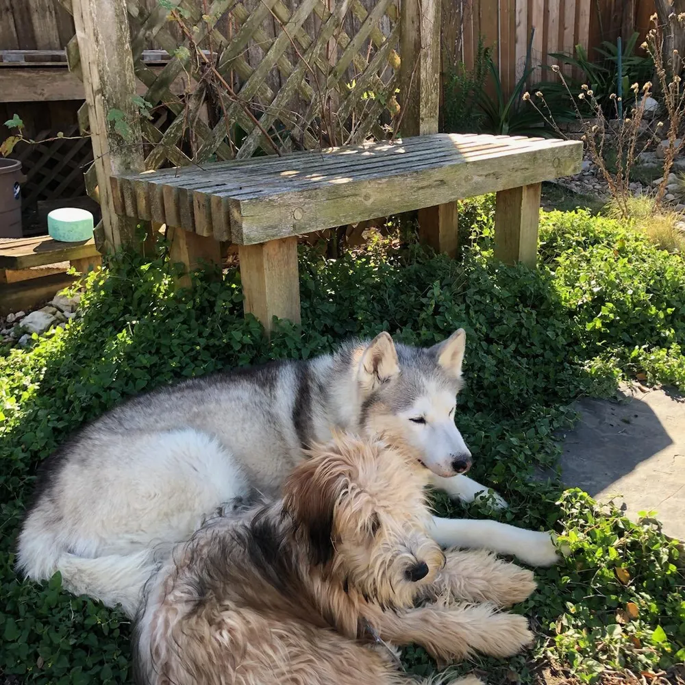 jenniferholton7.bsky.social's profile picture