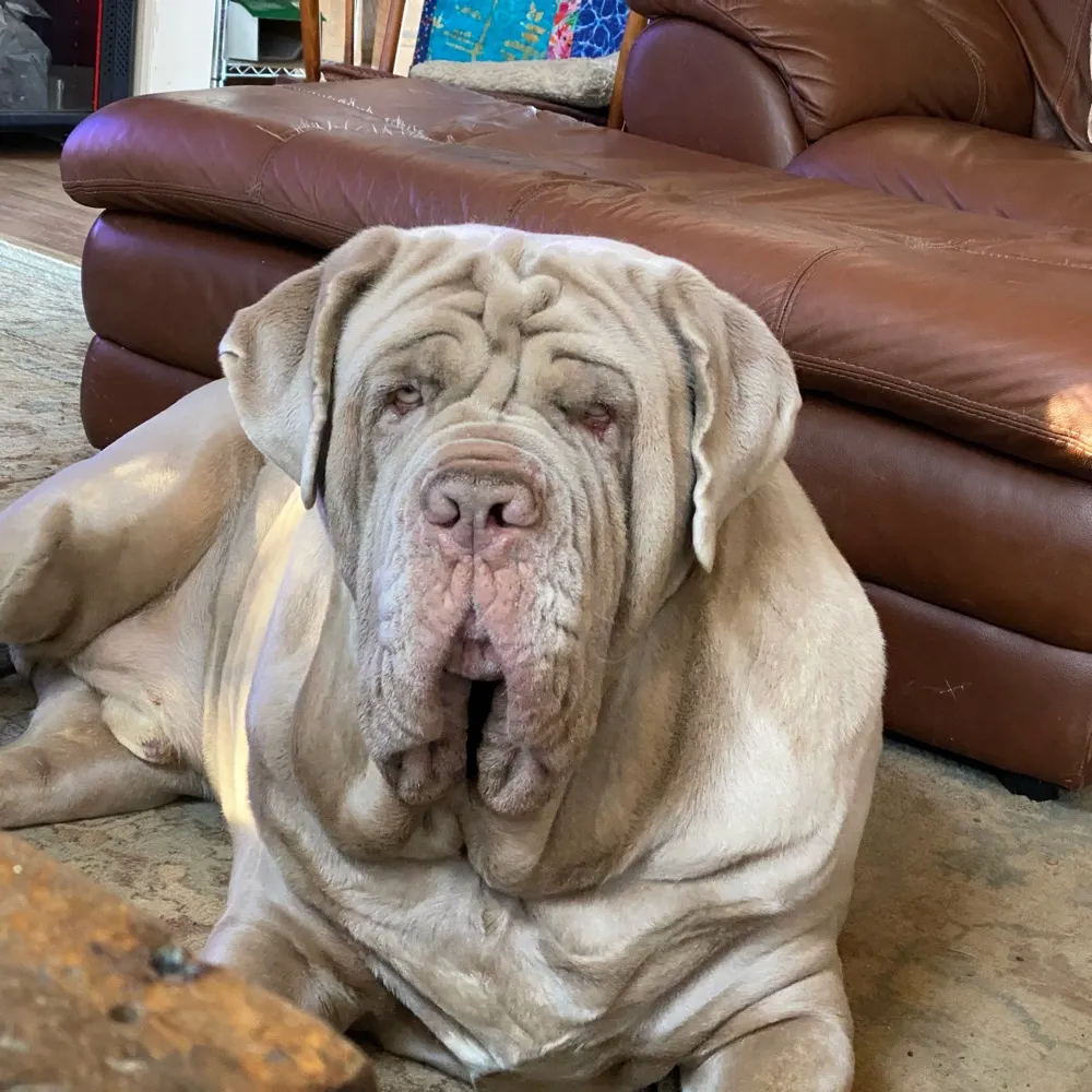 dracosmom.bsky.social's profile picture