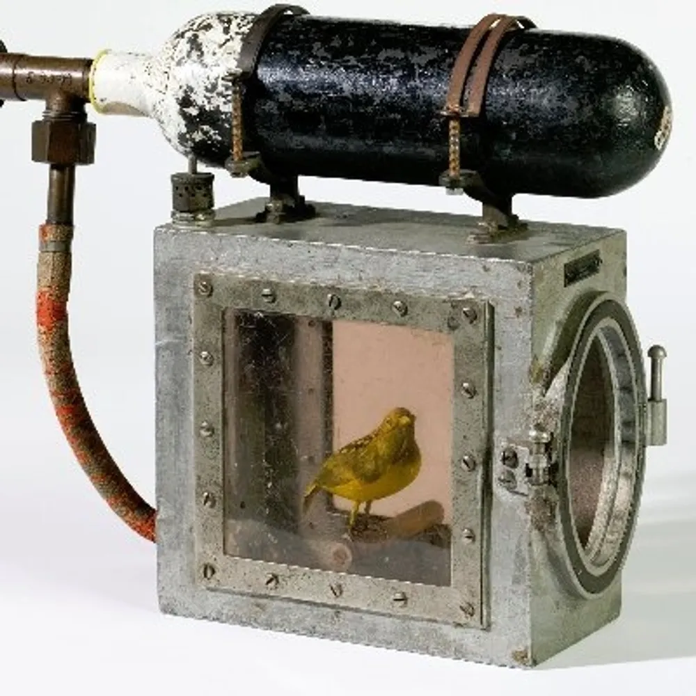 joi-itos-jibo.bsky.social's profile picture