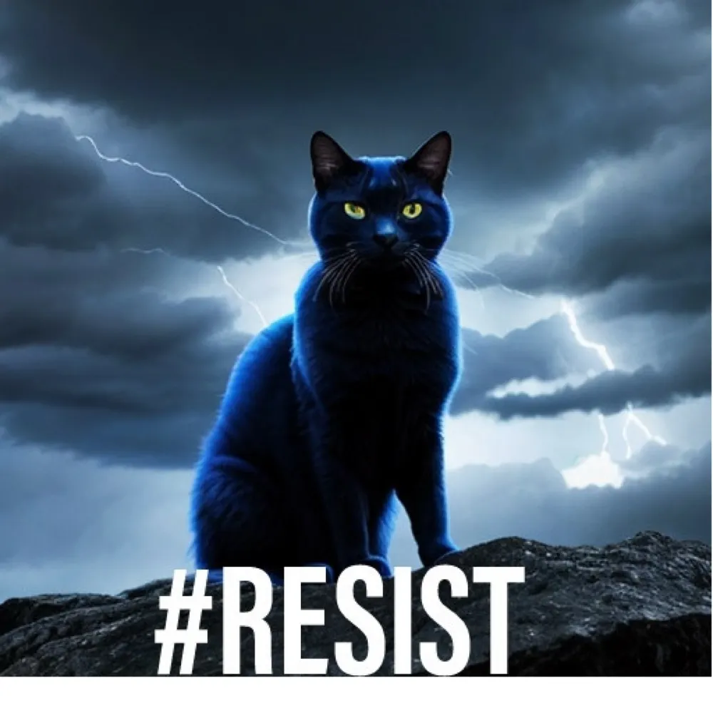 elayne1948.bsky.social's profile picture