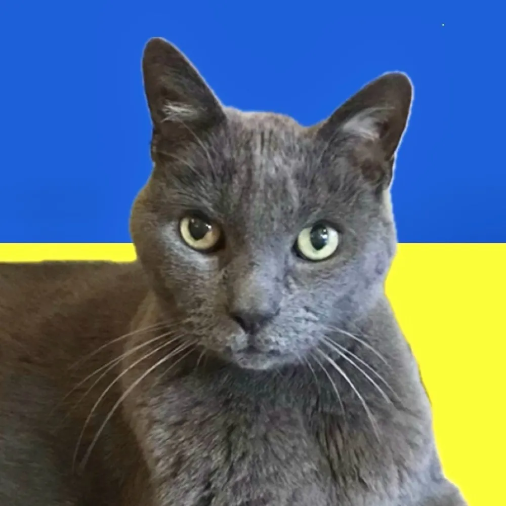 cuetheclowns.bsky.social's profile picture