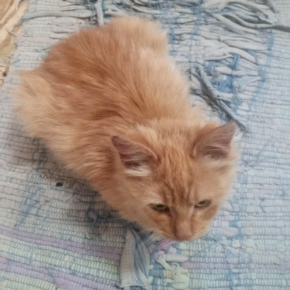 msdianan.bsky.social's profile picture