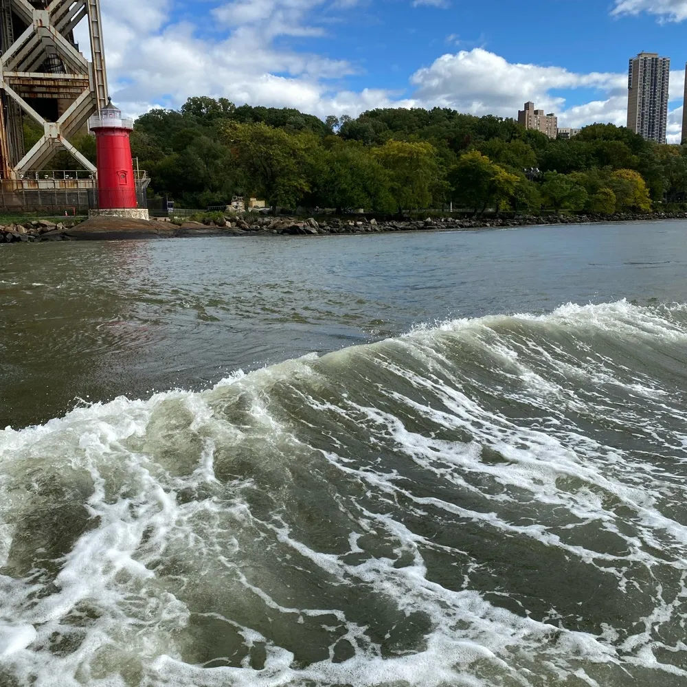 danistone73.bsky.social's profile picture