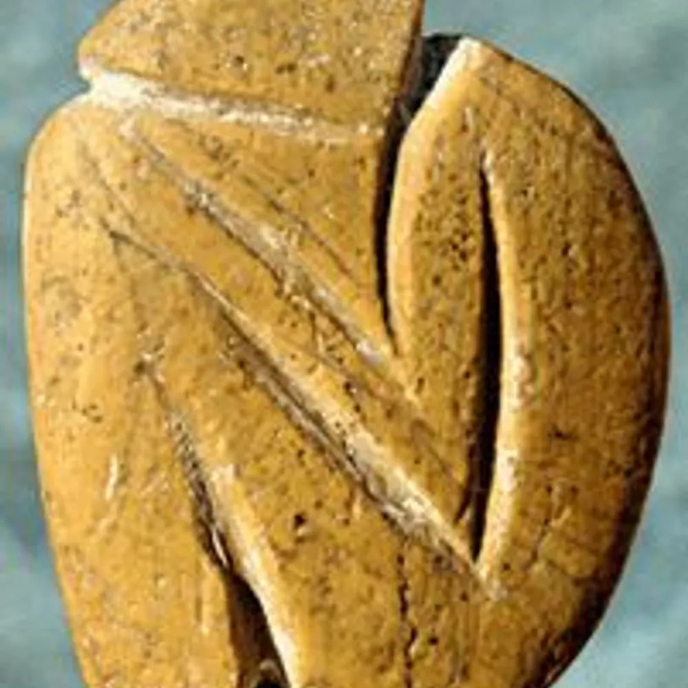 pugilistatrest.bsky.social's profile picture