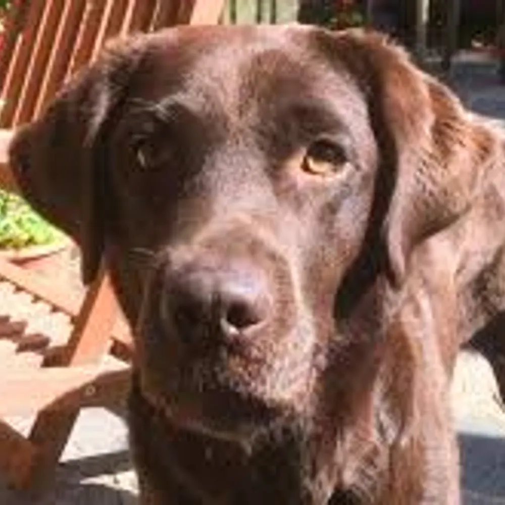 resjudicata22.bsky.social's profile picture