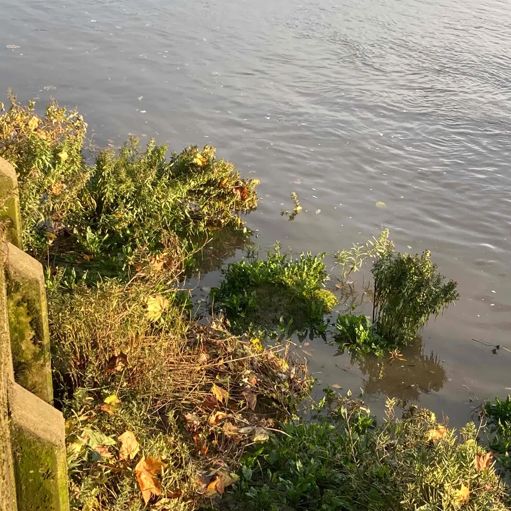 dunnoreally.bsky.social's profile picture