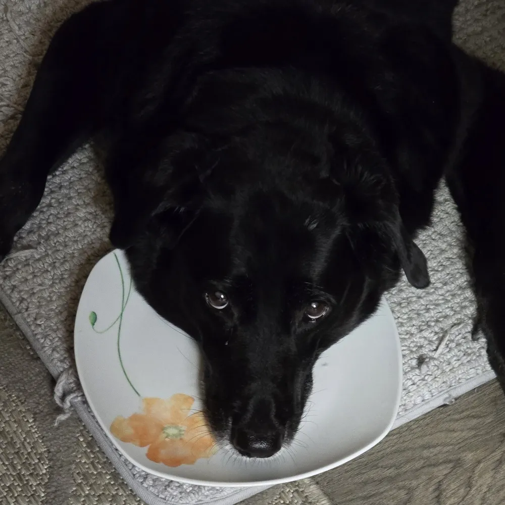 gr8hitr.bsky.social's profile picture