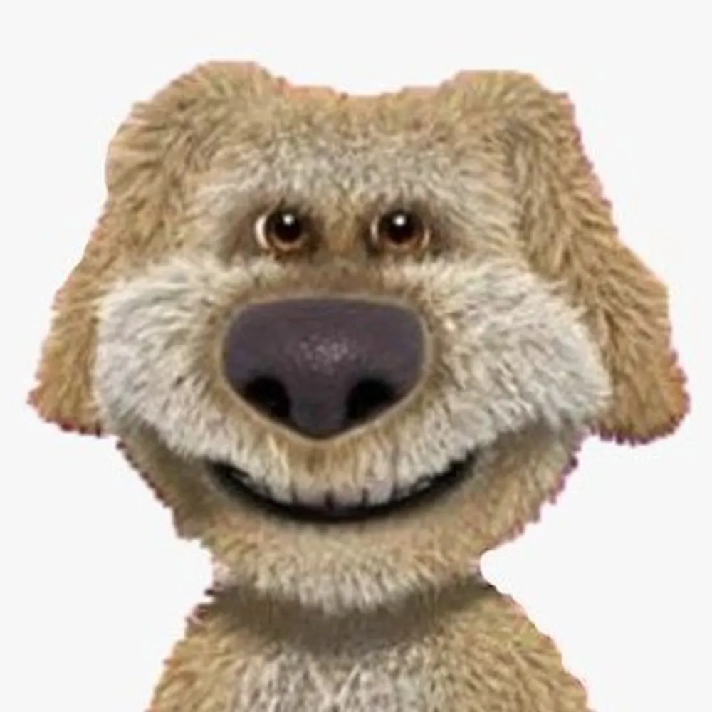 sadakinho.bsky.social's profile picture