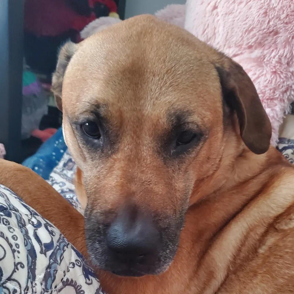 jackno.bsky.social's profile picture